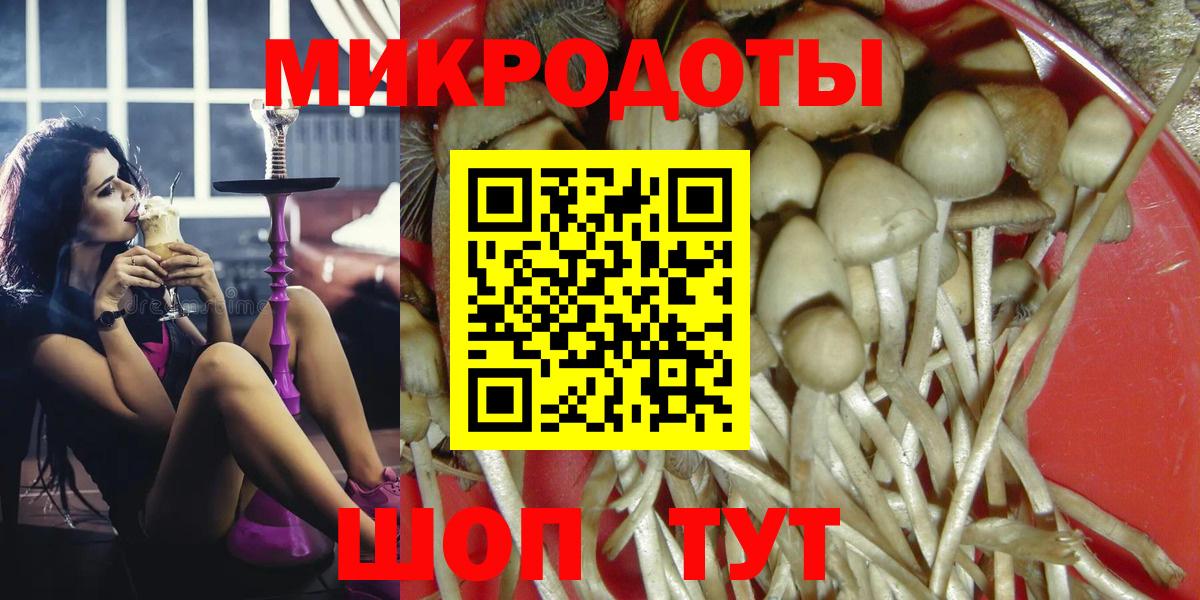 Псилоцибиновые грибы ЛСД  Псилоцибиновые грибы GOLDEN TEACHER  Пугачёв  Вход с VPN 